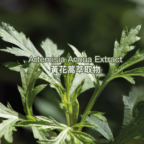 嬰兒保濕潤膚霜 ATO LOTION 160g/支【韓國製】純天然植物成分