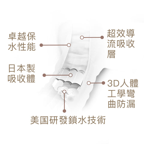 成人復健褲/紙尿褲 大碼(L) 10片/包 (內褲型穿脫式設計)